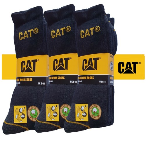 Cat caterpillar - cat,
