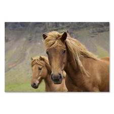 Postereck 0525 Poster Leinwand