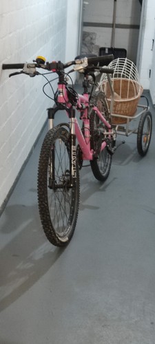 Steppenwolf mountainbike mit - steppenwolf,