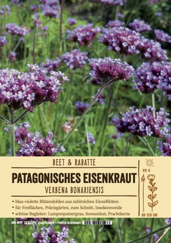 Verbena