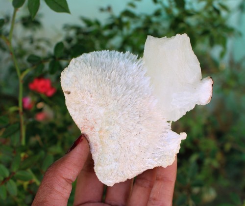 Scolecite blaskugel mit - scolecite,