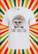 Hedgehog Can`t Touch This