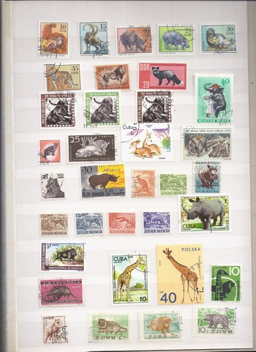 Motiv lot tiere - lot, 2