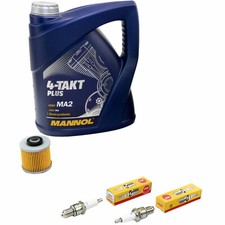 Öl 4L Inspektion Set