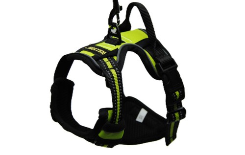 Premium hundegeschirr - premium,