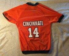 Cincinnati bengals dog - cincinnati, pet