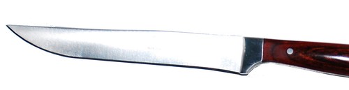 Zweibrüder eisvogel 2177 - 2x,