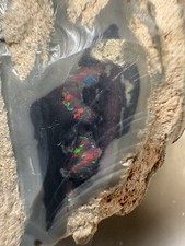 Rogh Fire Black Opal Lightning