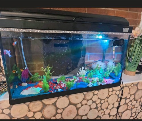 Aquarium komplettset 60l - aquarium,