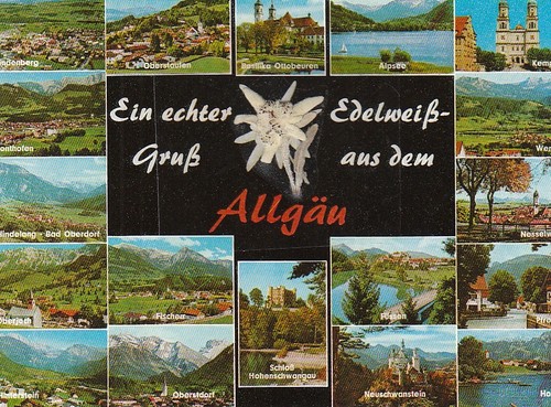 Echter edelweiß gruß aus dem - edelweiß-gruß,