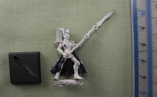 High elf maiden - elf,