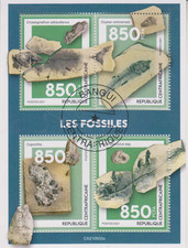 Fosilien Zentralafrika