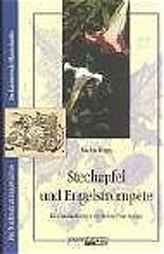 Stechapfel und engelstrompete - stechapfel,