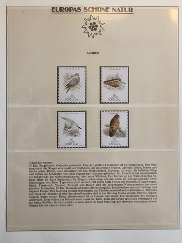 Europas schöne natur azoren - europas,