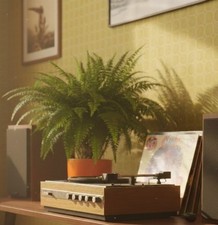 Vintage Plattenspieler