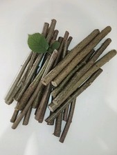 1 Kg Haselnuss, unbehandelt