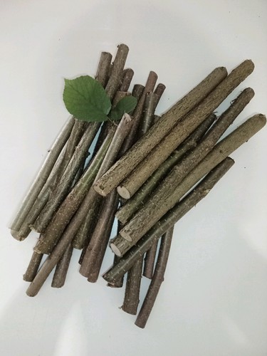 Haselnuss unbehandelt - haselnuss,,