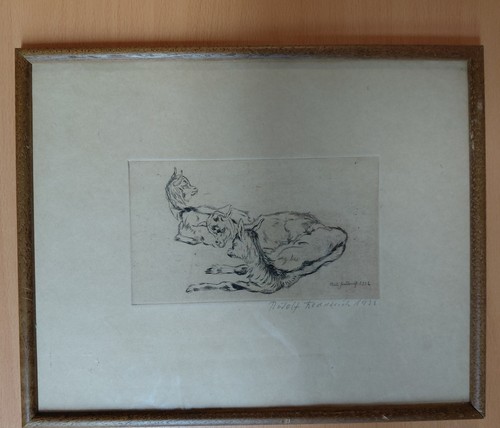 Zeichnung rudolf fredderich - rudolf,