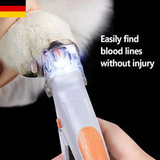 Hund Katze Haustier