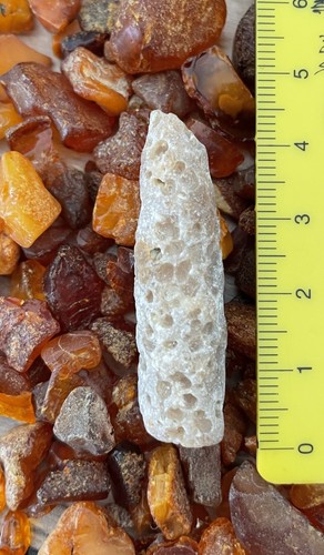 Donnerkeil spitze von fehmarn - spitze,