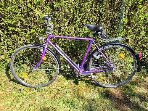 Fahrrad diamant pegasus - fahrrad,