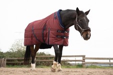 Winterdecke, Weidedecke, Outdoordecke 350g