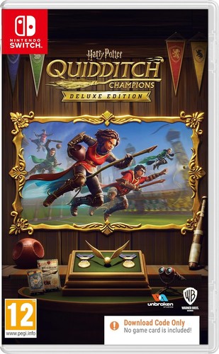 Harry potter quidditch - harry,