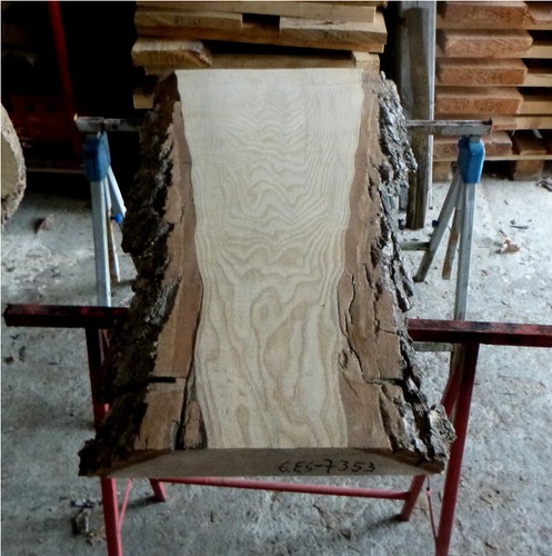 Esche eschenholz bretter - eschenholz,