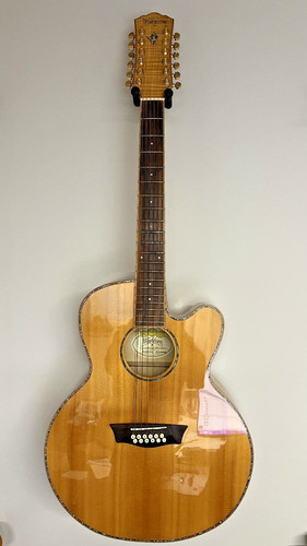 Washburn wj45sce string - washburn,