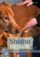 Shiatsu für Hunde: Energie