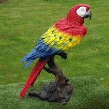 Gartenfigur papagei 66cm - papagei, ca.