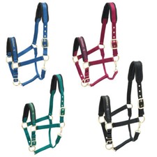 Kieffer Stallhalfter