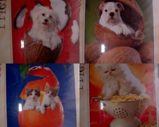 Tierpuzzle Hund oder Katze 260 Teile von Clementoni 33, 6 x 23, 5 cm NEU OVP