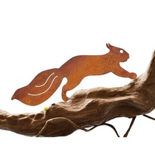 Eichhörnchen für Baum