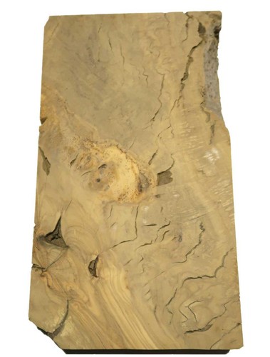 Oliven wurzelholz holz - oliven,
