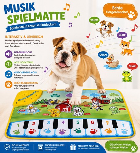 Intelligenzspielzeug für