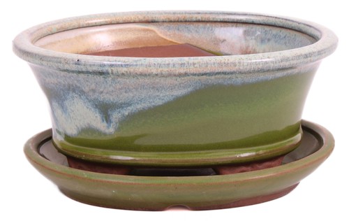 Bonsai schale oval 12 - bonsai-schale, 16