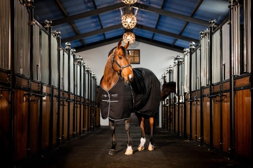 Horseware rambo stalldecke - horseware,
