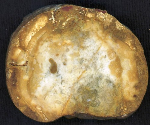Achat agate jaspis - achat/agate, von