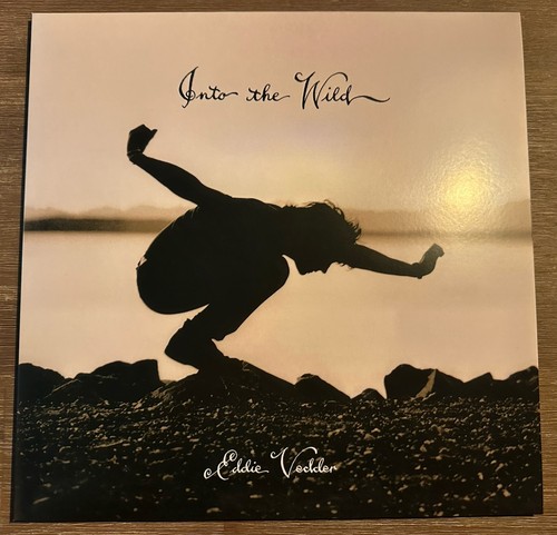 Eddie vedder into the wild - into,