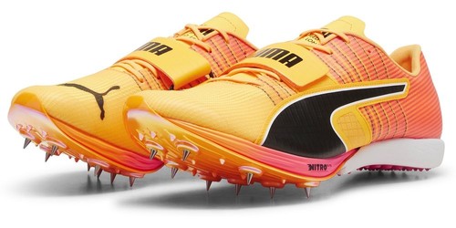 Puma schuhe low - low, evospeed