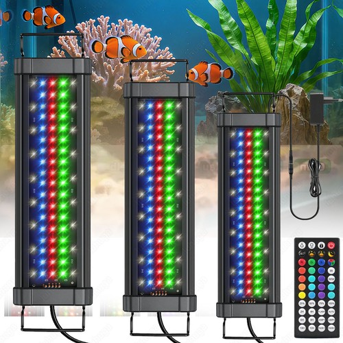 153cm aquarium beleuchtung - aquarium,