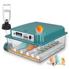 Brutautomat 12–16 Eier