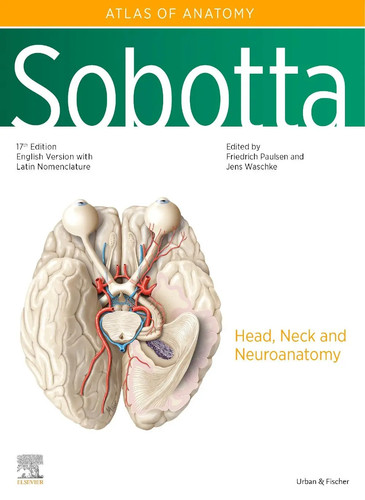 Sobotta atlas anatomy vol - sobotta,