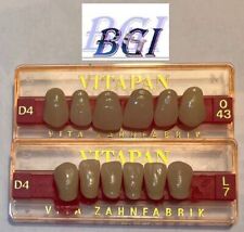 Vitapan OK+UK  Frontzahngarnituren