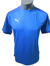 Puma Team Final 21 Trainings