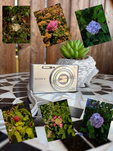 Sony cyber shot - cyber-shot, dsc-w830
