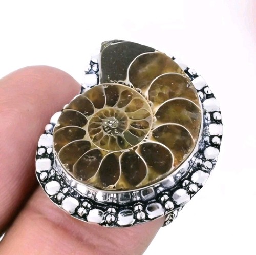 Ammonit fossil ring gr - fossil,