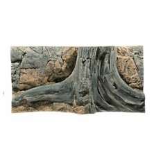 Back to Nature Amazonas