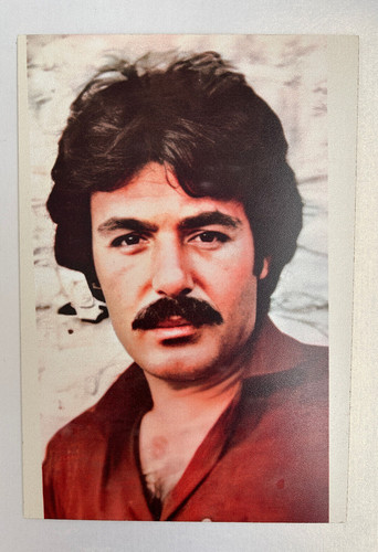 Ferdi tayfur poster türkische - ferdi,